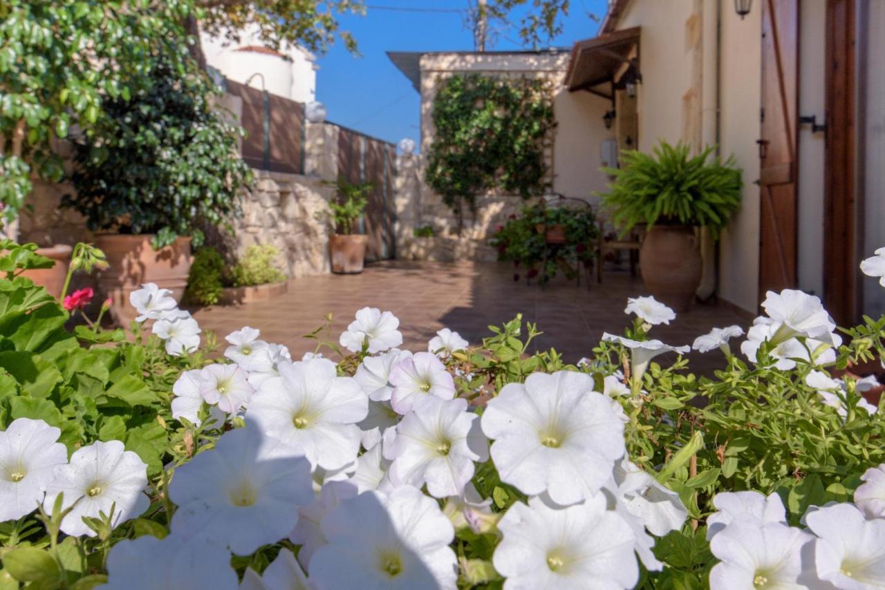 Alia Stone Villa-Ideal For Families-Heated Pool Nohia エクステリア 写真